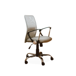 Beige Working Chair With Armrest